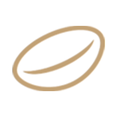 コンタクトレンズ